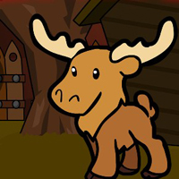 G2J Cute Moose Escape