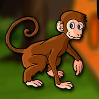 G2J Rhesus Macaque Escape