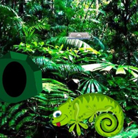 Chameleon Rain Forest Escape