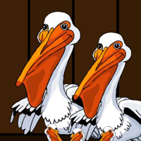 Pelican Family Escape